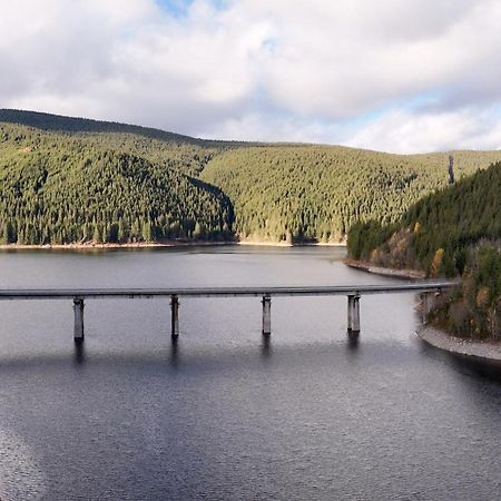 Cabana Cerbul-Oasa-Transalpina Ciban Екстериор снимка