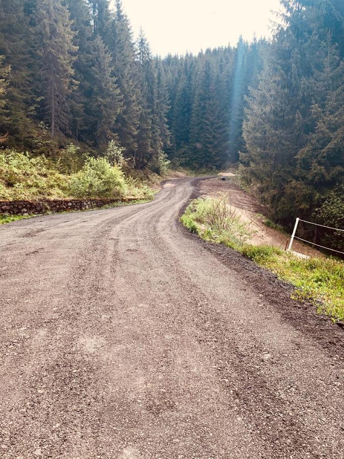 Cabana Cerbul-Oasa-Transalpina Ciban Екстериор снимка