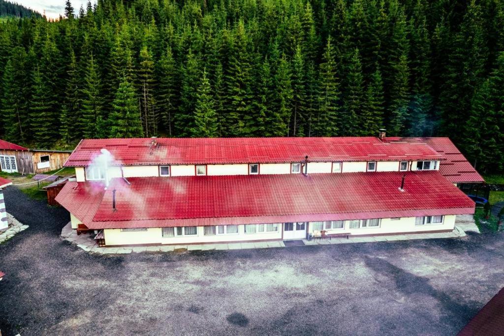 Cabana Cerbul-Oasa-Transalpina Ciban Екстериор снимка