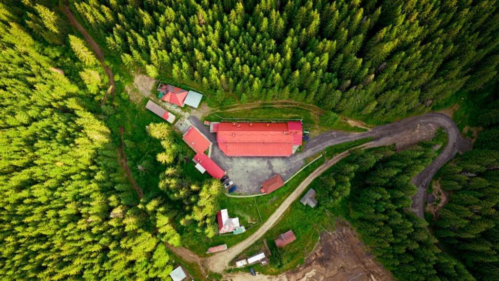 Cabana Cerbul-Oasa-Transalpina Ciban Екстериор снимка