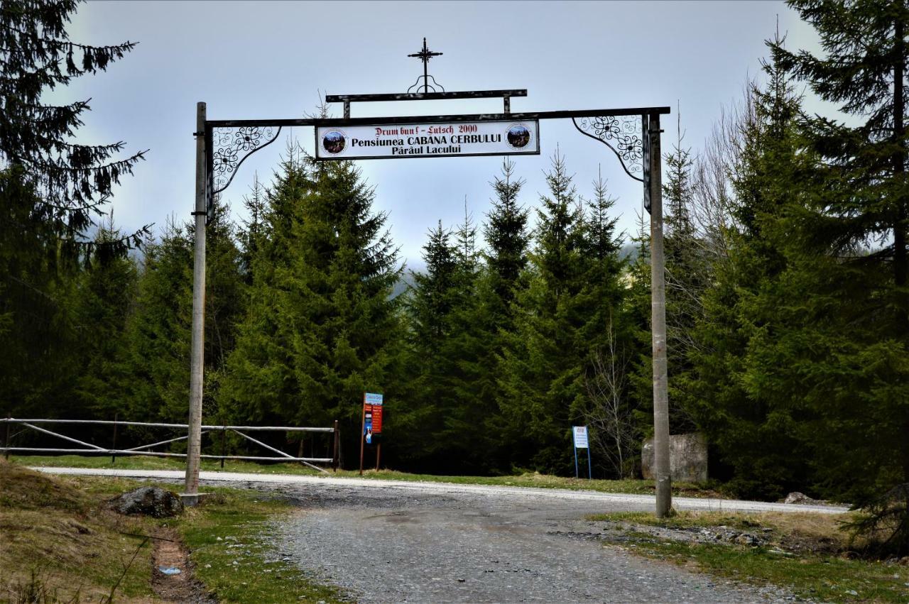 Cabana Cerbul-Oasa-Transalpina Ciban Екстериор снимка