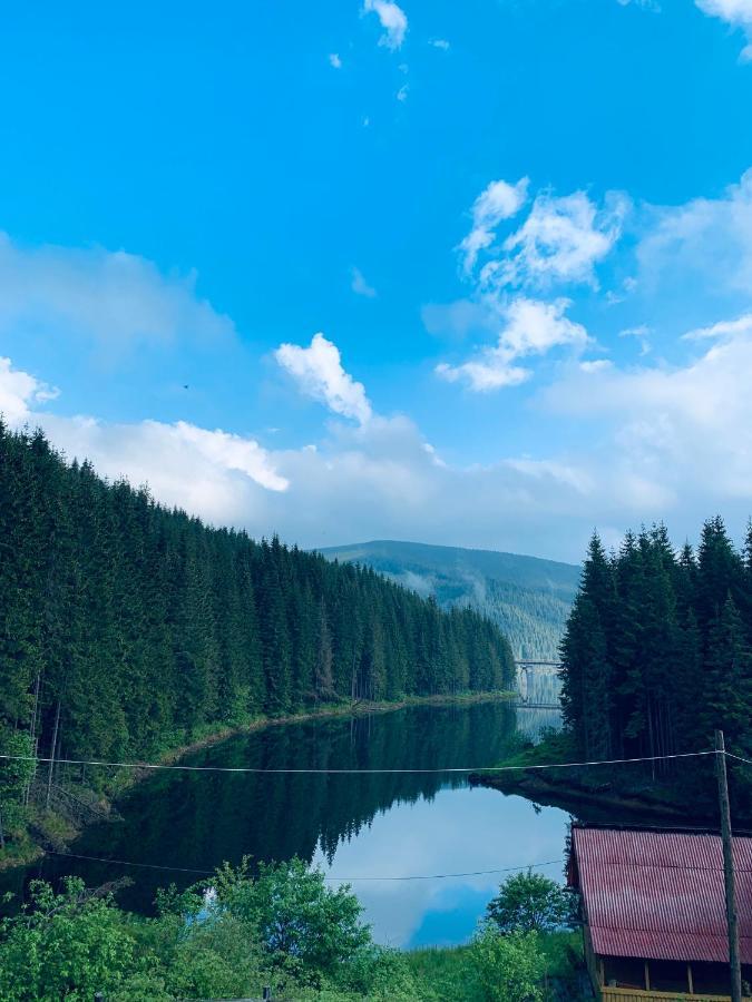 Cabana Cerbul-Oasa-Transalpina Ciban Екстериор снимка
