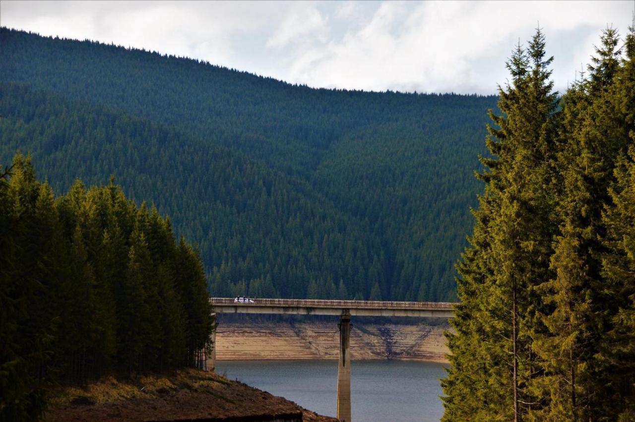 Cabana Cerbul-Oasa-Transalpina Ciban Екстериор снимка