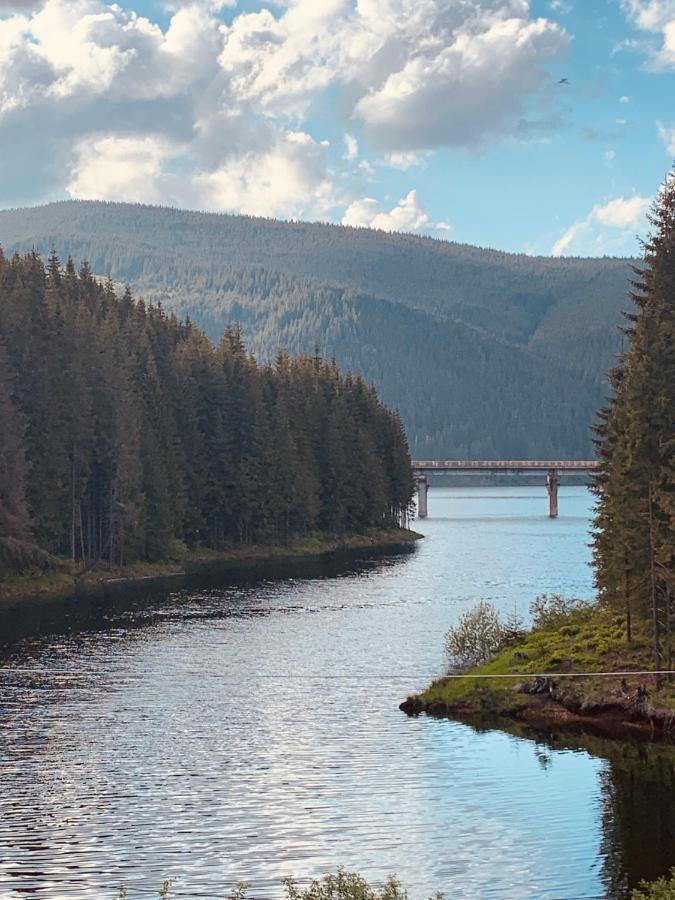 Cabana Cerbul-Oasa-Transalpina Ciban Екстериор снимка